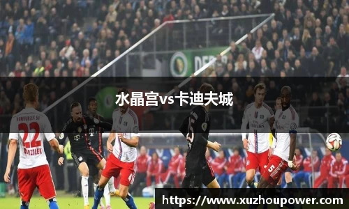 水晶宫vs卡迪夫城