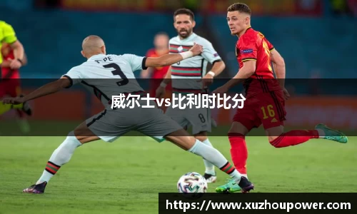 威尔士vs比利时比分